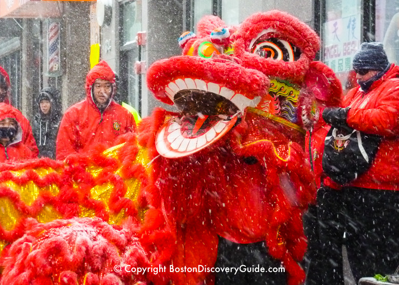 Lion Dance in a snow storm - part of the Chinese New Year celebration in Boston's Chinatown