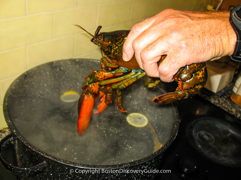 Dropping the lobster head first into the pot 