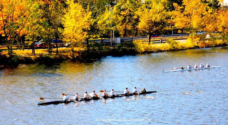 Crew teams with fall foliage along Storrow Drive in the background