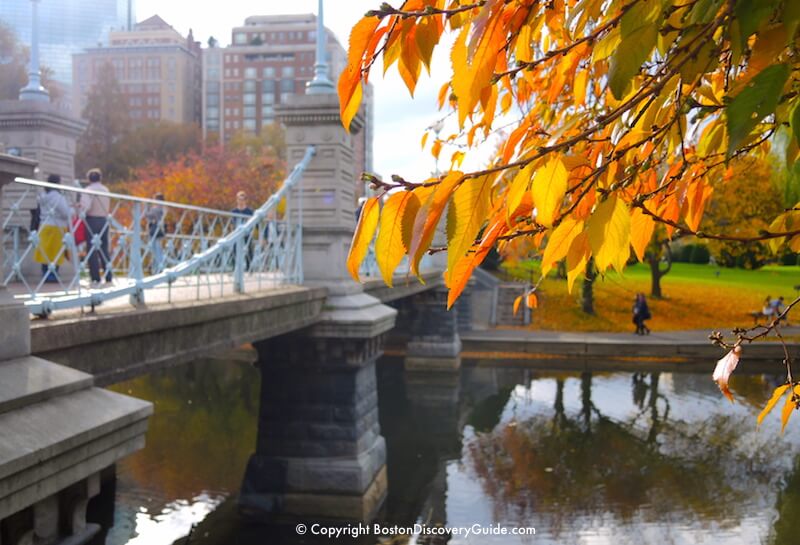 Boston weather in November - Fall foliage in the Public Garden near the bridge over the Lagoon