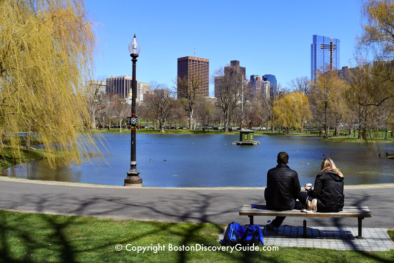The Lagoon in Boston's Public Garden - never bleak thanks to the yellow-green branches of the weeping willows