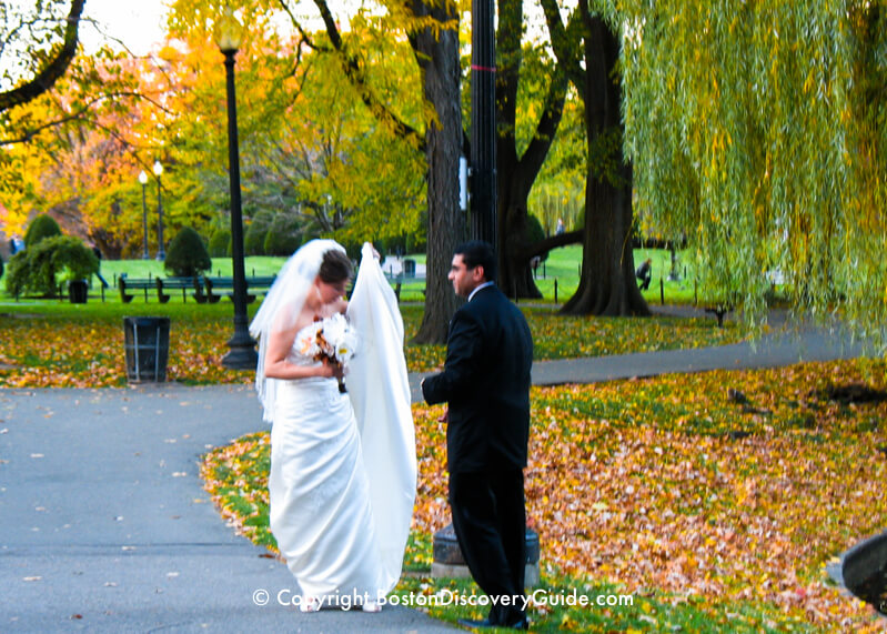 Bride and groom in the Public Garden
