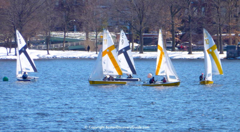 Winter frostbite sailing on the Charles River, with Boston's Esplanade in the background