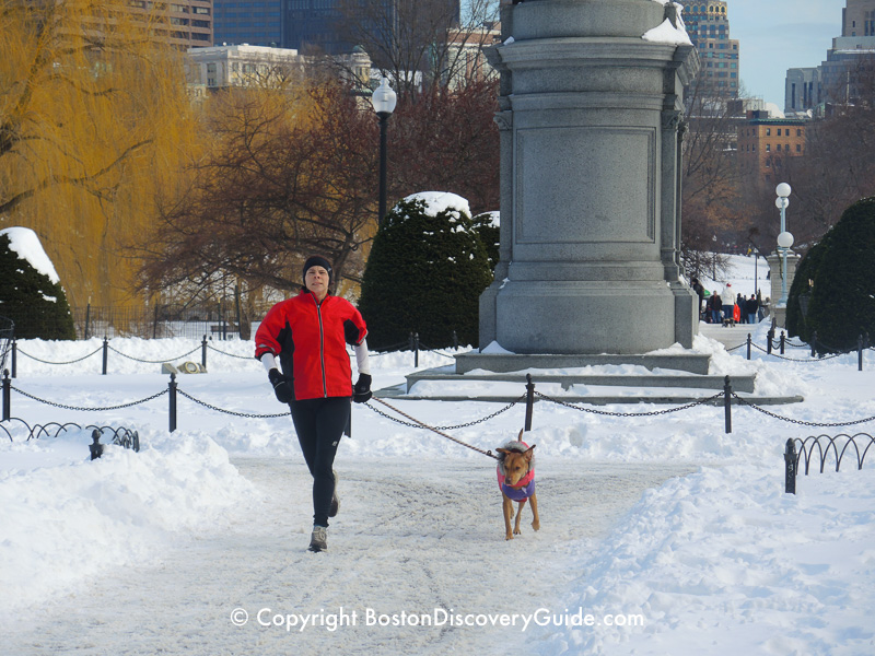 Winter walking tour of Boston: Public Garden
