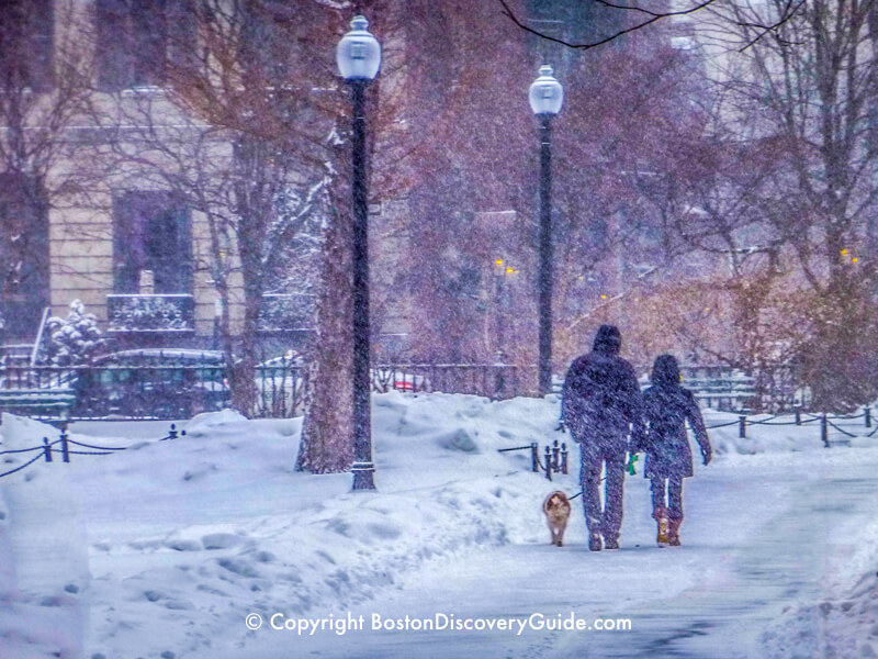 Walking through Boston's Public Garden while heavy snow is falling