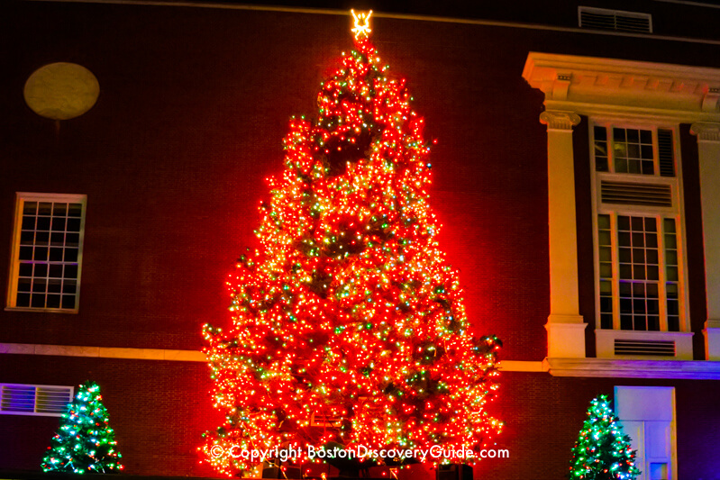 Look up to see Macy's lighted Christmas trees above the huge storefront windows along pedestrian-only Summer Street