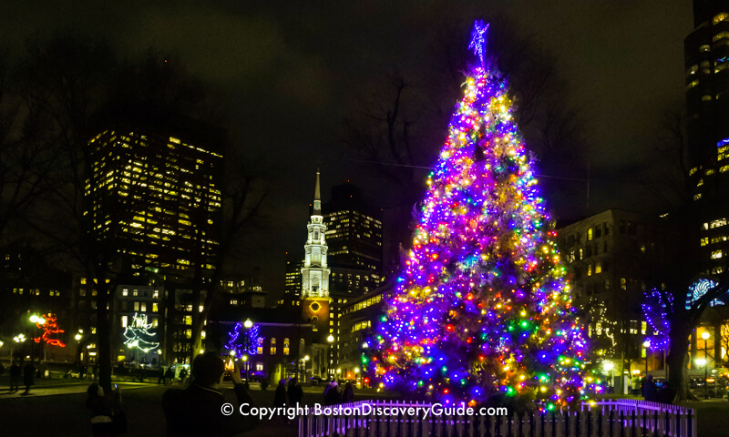Christmas Tree in Boston Common