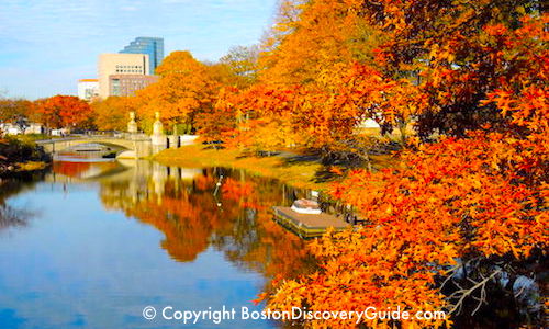 Fall Foliage in Boston