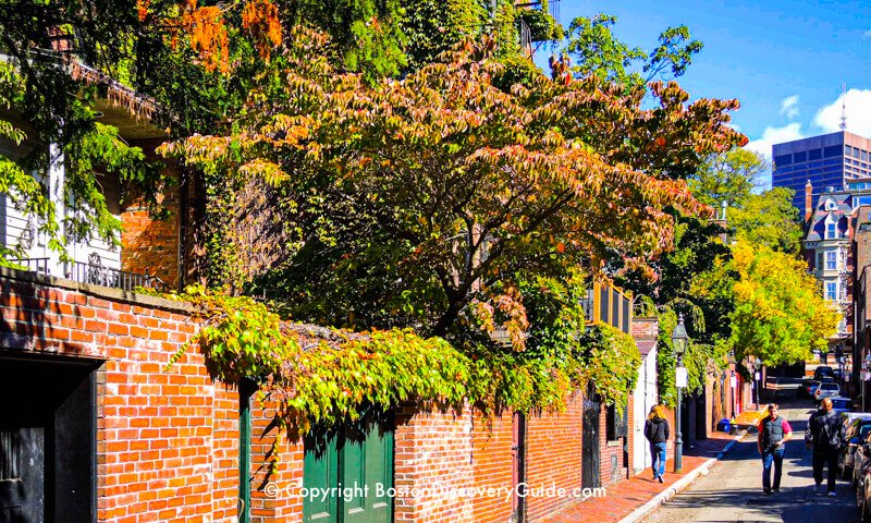 Fall foliage colors along a narrow lane in Boston's historic Beacon Hill 