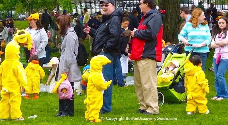 "Ducklings" lining up for the Duckling Day Parade in the Public Garden