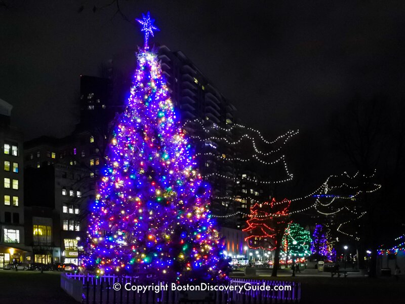 Christmas trees in Boston's Downtown Crossing 